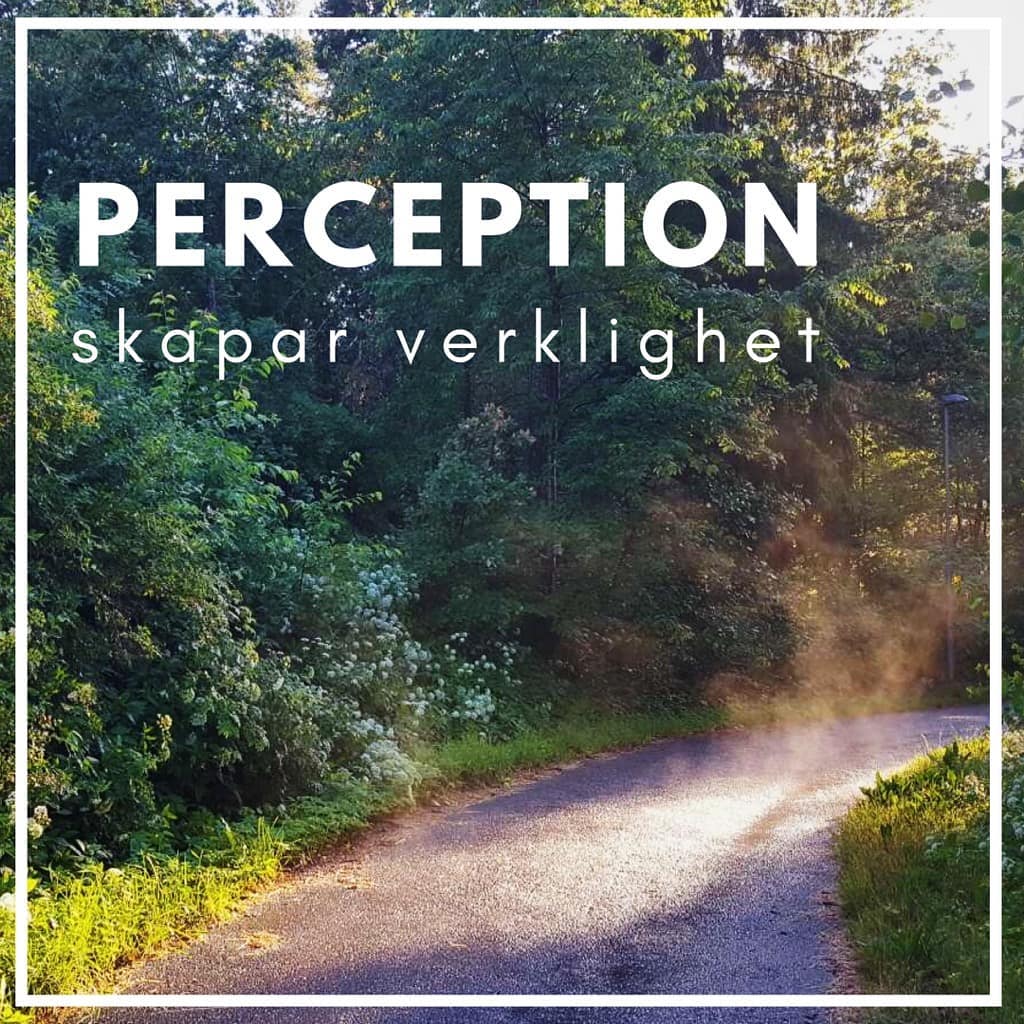 Tänkvärt: Perception